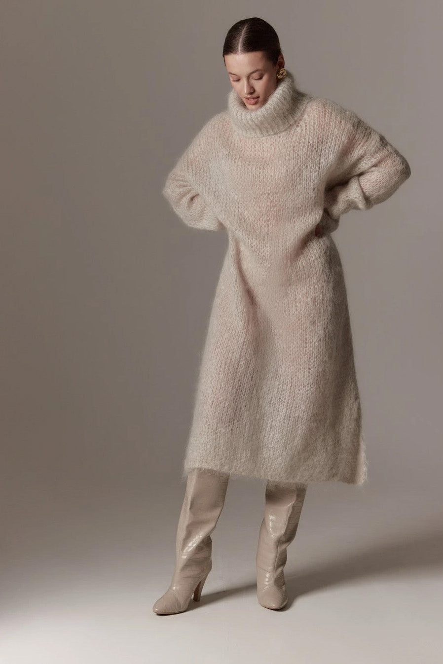 Chiara LS Roll Neck Dress Beige