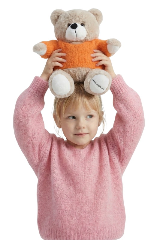 Signature Teddy Bear Brown/Orange