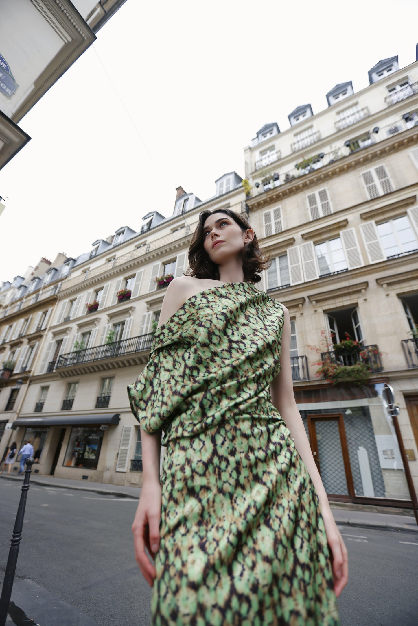 Camelia Dress Green Print