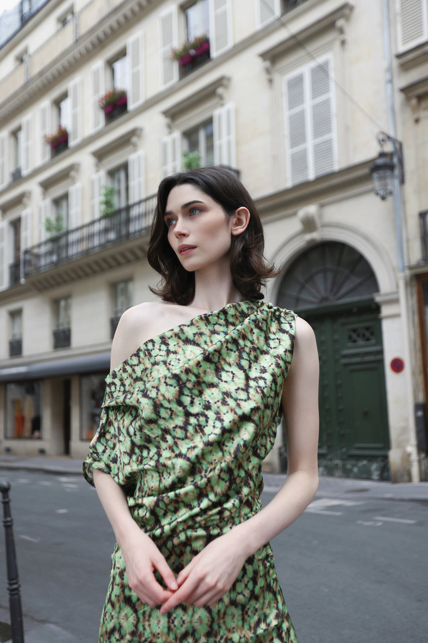 Camelia Dress Green Print