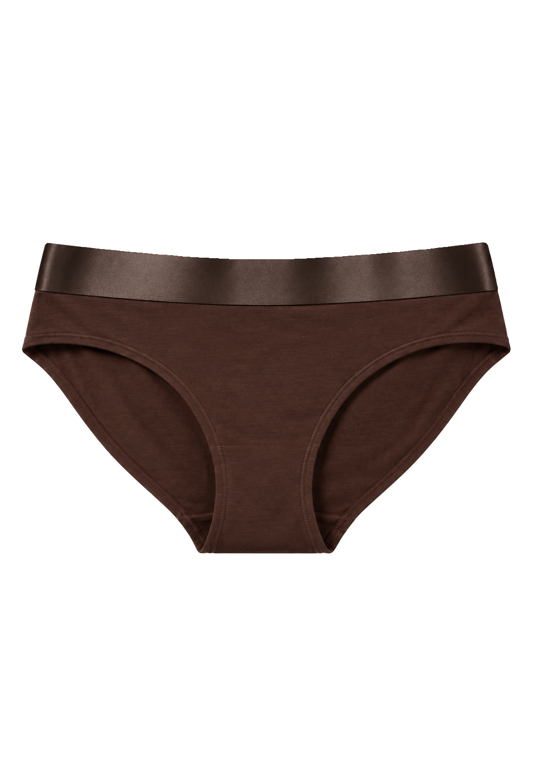 Iconic Bikini Panties Dark Brown image