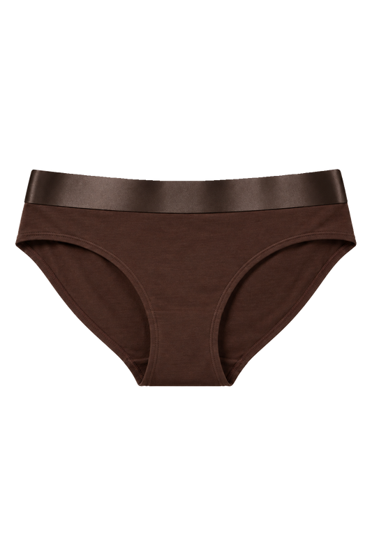 Iconic Bikini Panties Dark Brown image
