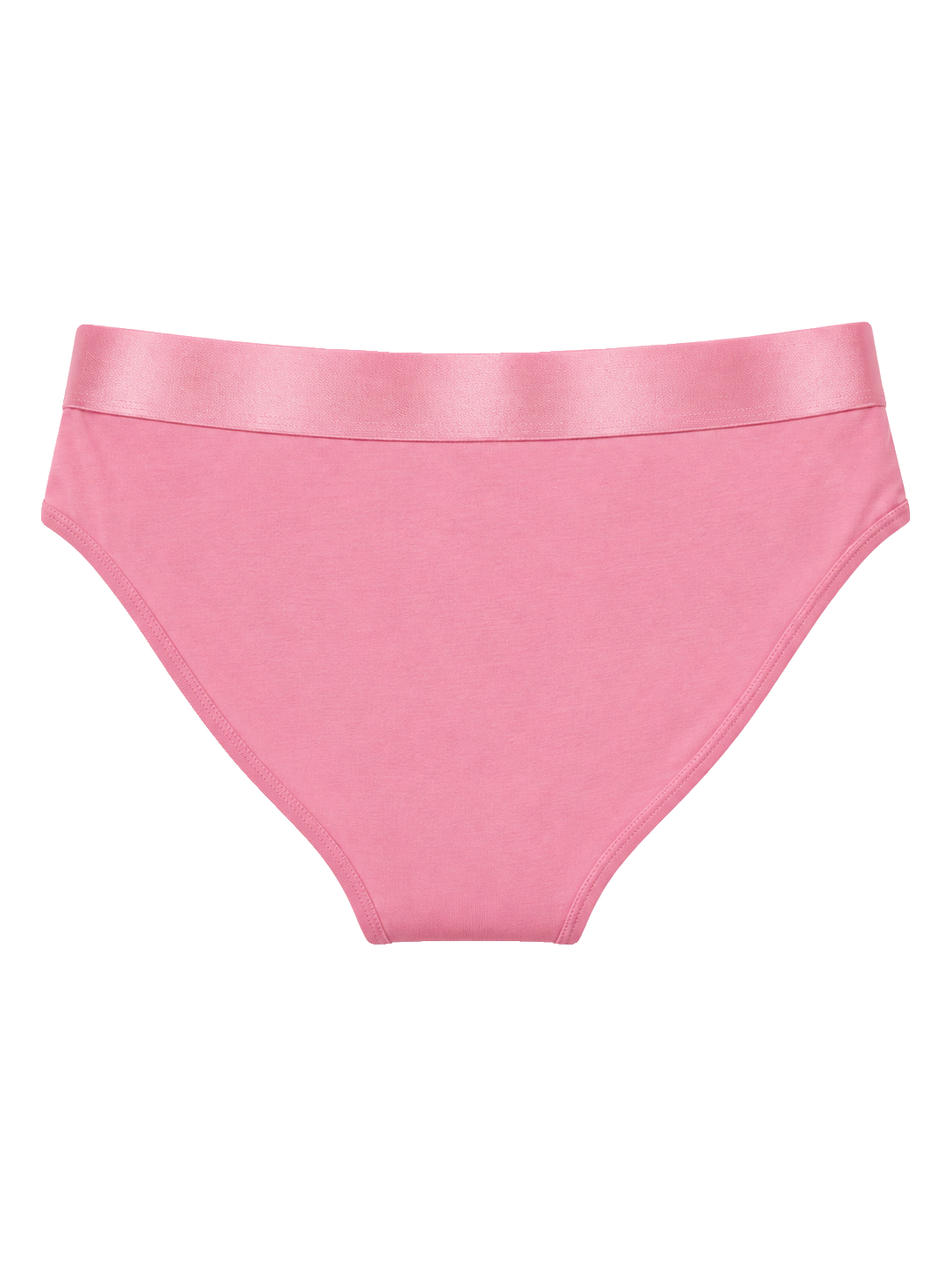 Iconic Bikini Panties Soft Berry image