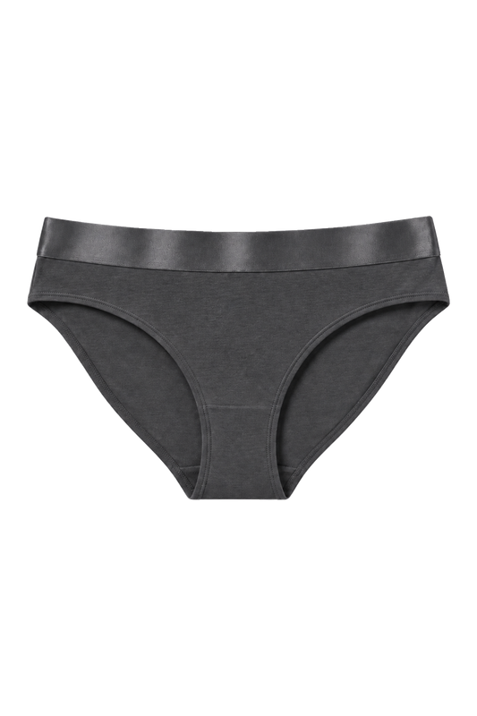 Iconic Bikini Panties Anthracite Grey