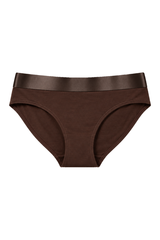 Iconic Bikini Panties Dark Brown